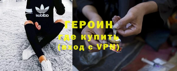 прущие грибы Богданович