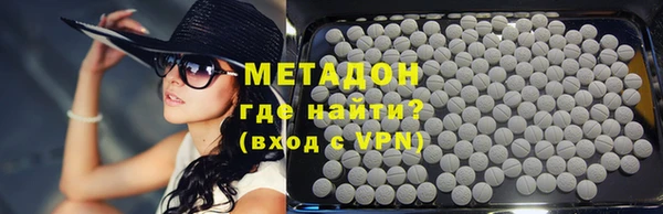 прущие грибы Богданович