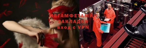 прущие грибы Богданович
