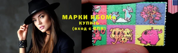 прущие грибы Богданович