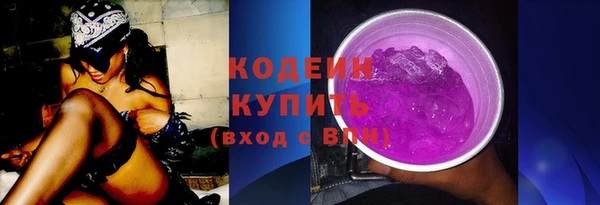 прущие грибы Богданович