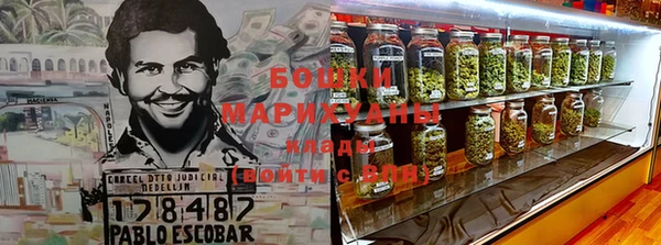 прущие грибы Богданович