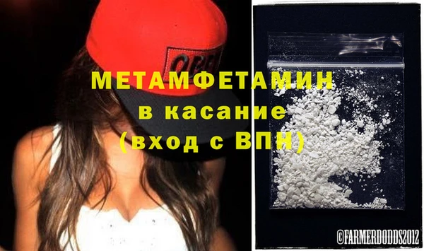 прущие грибы Богданович