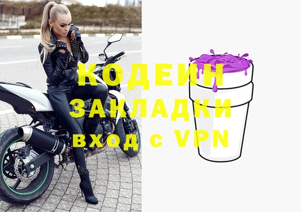 прущие грибы Богданович