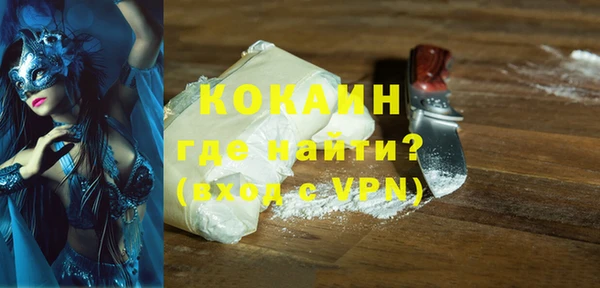 прущие грибы Богданович