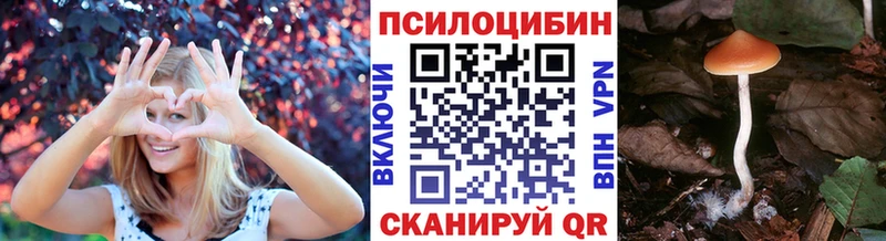 Галлюциногенные грибы GOLDEN TEACHER купить закладку МЕГА как зайти Кирсанов