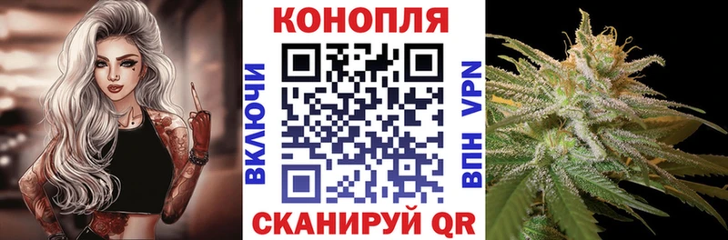 Канабис индика  Кирсанов 